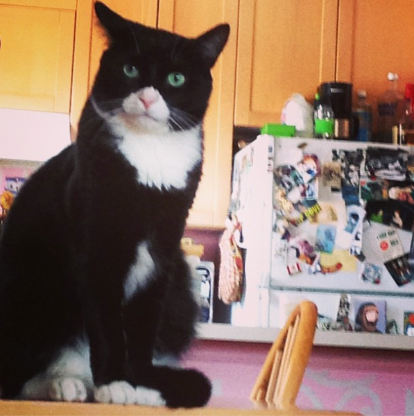 File:Jimmy1.png